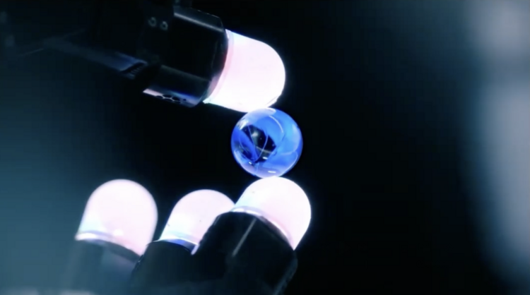 The Future of Intelligent Robots: Insights from Professor Jitendra Malik